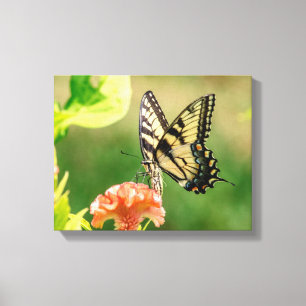 Lienzo Mariposa Swallowtail del Tigre del Este