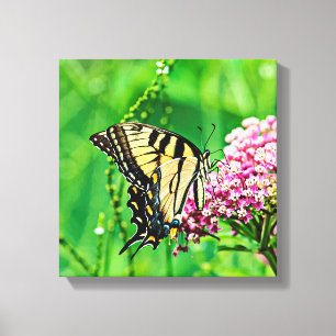 Lienzo Mariposa Swallowtail del Tigre del Este