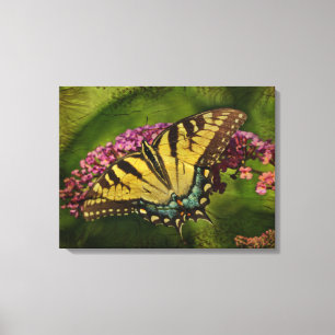 Lienzo Mariposa Swallowtail del Tigre del Este