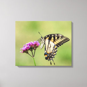 Lienzo Mariposa Swallowtail del Tigre del Este