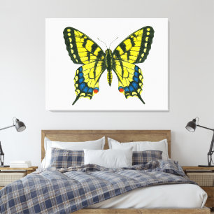 Lienzo Mariposa tigre