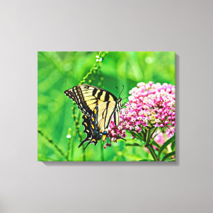 Lienzo Mariposa Trasera del Tigre Oriental