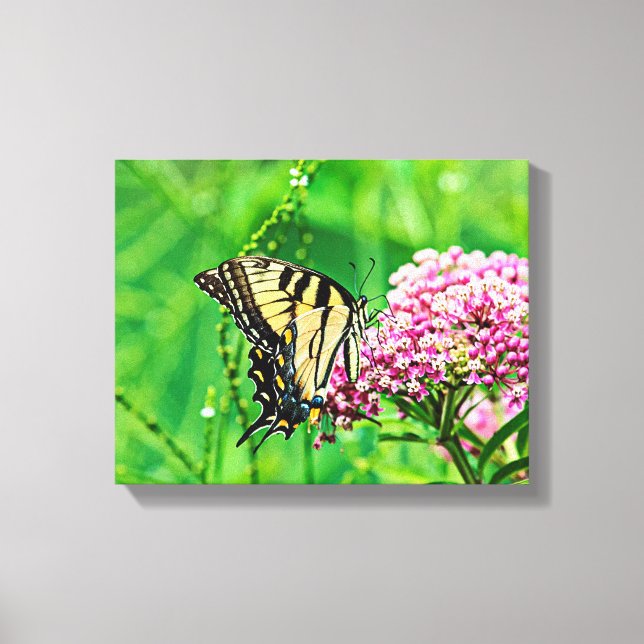 Lienzo Mariposa Trasera del Tigre Oriental (Anverso)