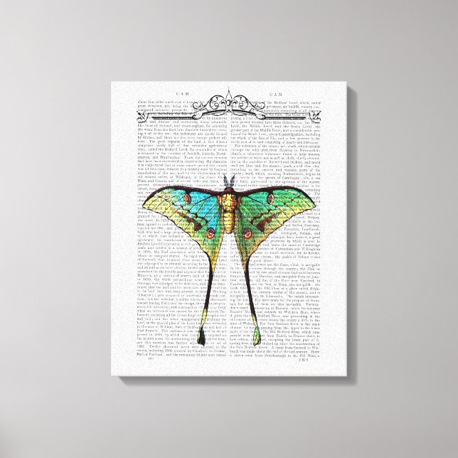 Lienzo Mariposa vibrante (Anverso)