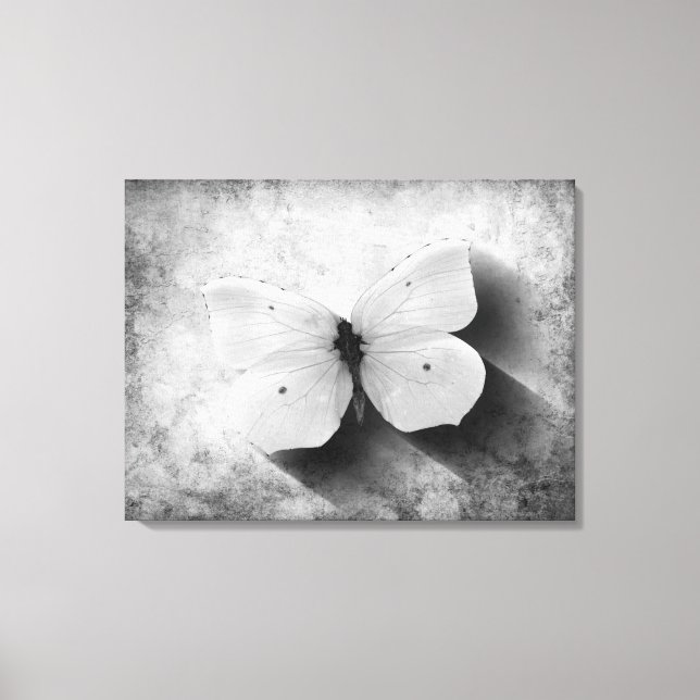 Lienzo Mariposa vintage en blanco y negro (Anverso)