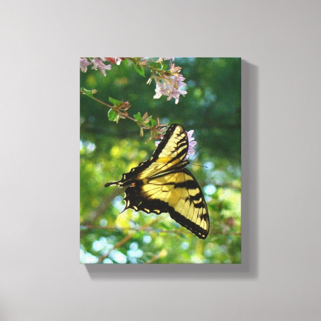 Lienzo Mariposa y cielo (Anverso)