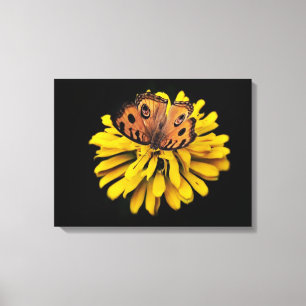 Lienzo Mariposa y flor amarilla