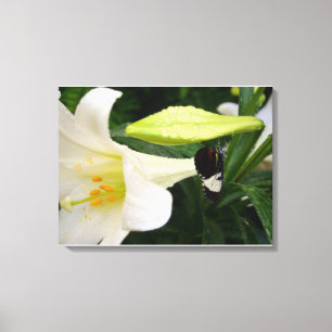 Lienzo Mariposa y Lily