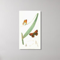 Mariposas de colores fluyen alrededor de una hoja