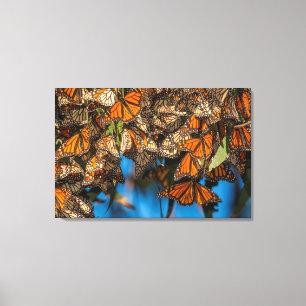 Lienzo Mariposas monarca migratorias se aferran a las hoj