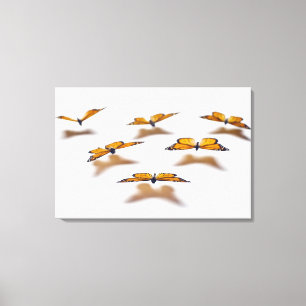 Lienzo Mariposas monarcas