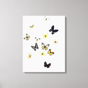 Lienzo Mariposas tiradas en blanco