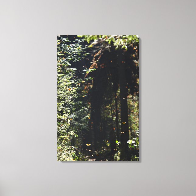 Lienzo Mariposas volando en el bosque (Anverso)