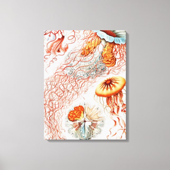 Lienzo Marisco, Discomedusae de Ernst Haeckel (Anverso)