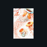 Lienzo Marisco, Discomedusae de Ernst Haeckel<br><div class="desc">Jellyfish,  Discomedusae Scheibenquallen por Ernst Haeckel Canvas Print</div>