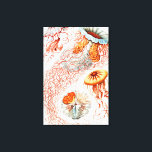 Lienzo Marisco, Discomedusae de Ernst Haeckel<br><div class="desc">Jellyfish,  Discomedusae Scheibenquallen por Ernst Haeckel Canvas Print</div>