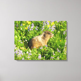 Lienzo Marmota en flores silvestres del Monte Rainier