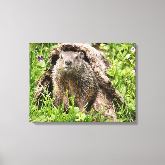 Lienzo Marmota en un tronco hueco (Anverso)