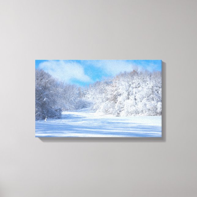 Lienzo Marthaler Park Snowy Hills (Anverso)