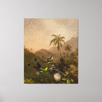 MARTIN J.HEADE - Dos Hummingbirds-Torácicos de Pec