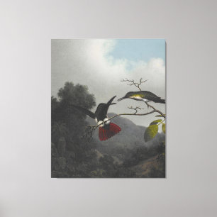 Lienzo MARTIN J. HEADE - Mango de garganta negra - 1863-6