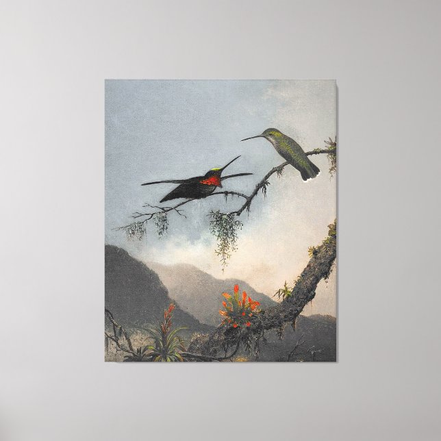 Lienzo MARTIN J. HEADE Stargarganta con pecho estriado (1 (Anverso)