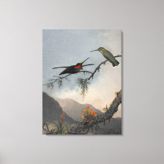 Lienzo MARTIN J. HEADE Stargarganta con pecho estriado (1