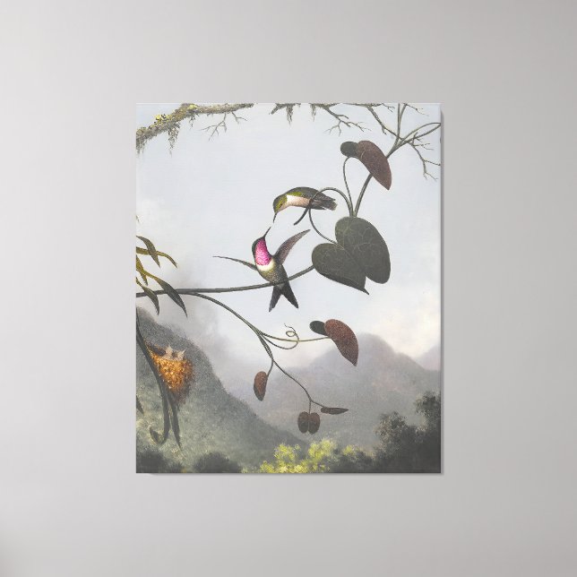 Lienzo MARTIN JOHNSON HEADE - Amethyst Woodstar - 1863-64 (Anverso)