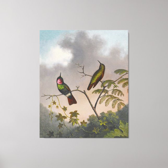 Lienzo MARTIN JOHNSON HEADE - Brasil Ruby - c. 1863-64 (Anverso)