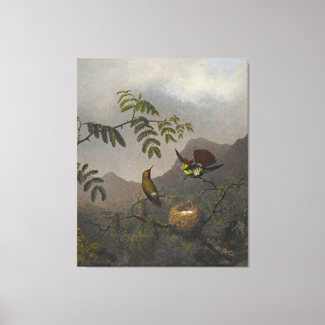 Lienzo MARTIN JOHNSON HEADE - Frilled Coquette - 1863-64 (Anverso)