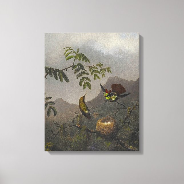 Lienzo MARTIN JOHNSON HEADE - Frilled Coquette - 1863-64 (Anverso)