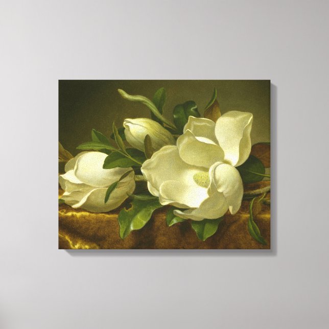 Lienzo Martin Johnson Heade - Magnolias sobre Velvet de O (Anverso)