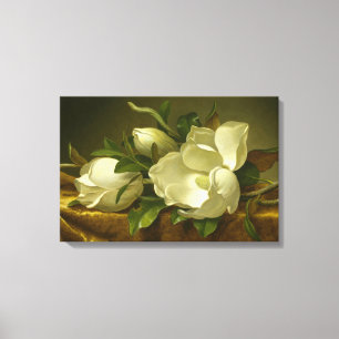 Lienzo Martin Johnson Heade - Magnolias sobre Velvet de O