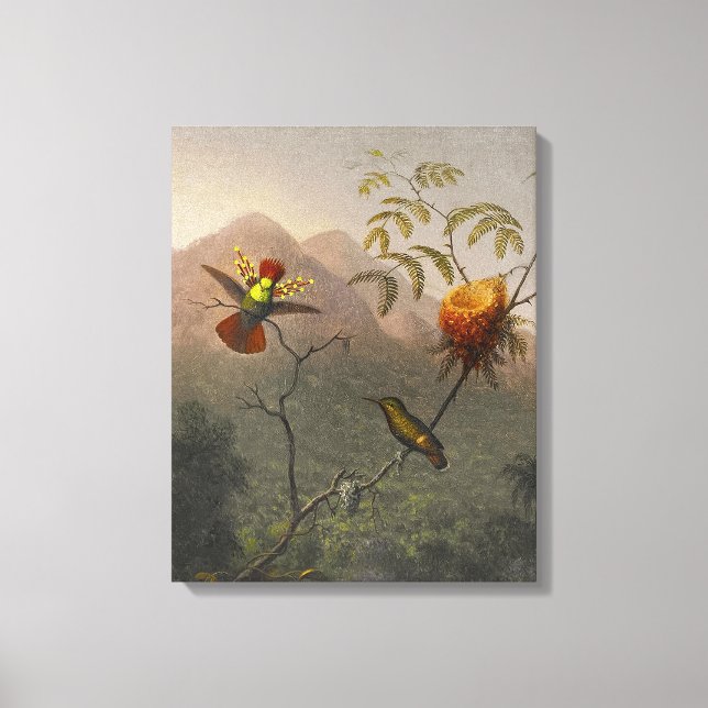 Lienzo MARTIN JOHNSON HEADE - Tufted Coquette - 1863-64 - (Anverso)