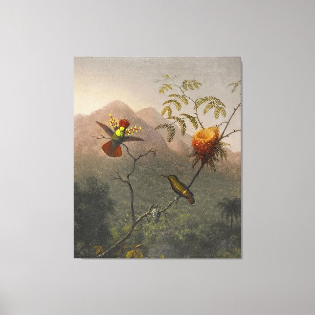 Lienzo MARTIN JOHNSON HEADE - Tufted Coquette - 1863-64 - (Anverso)