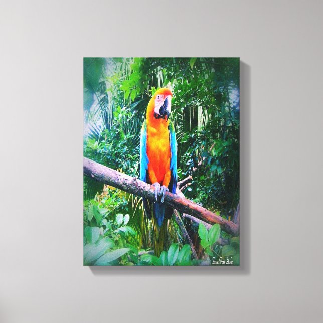 Lienzo Martinica Macaw (Anverso)