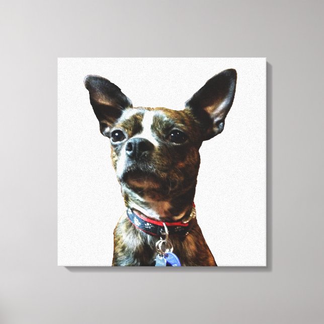 Lienzo Marv-man (Anverso)