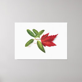 Lienzo Mary Vaux Walcott painting