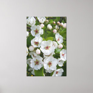 Lienzo Más Que Un Pear