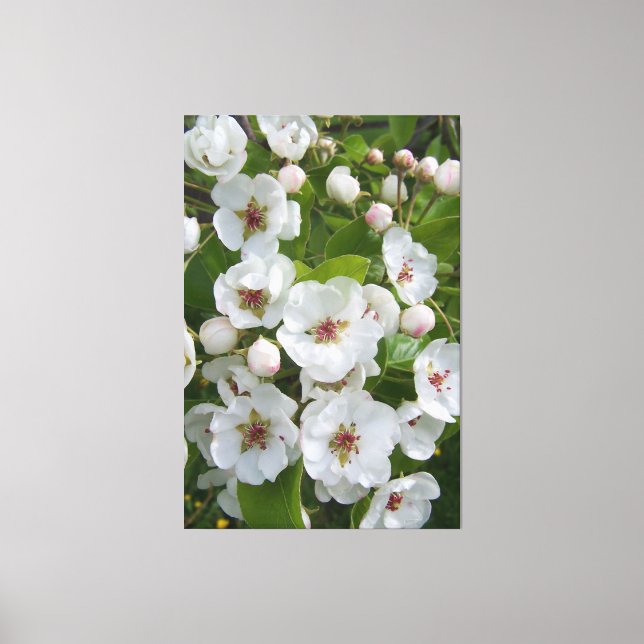 Lienzo Más Que Un Pear (Anverso)