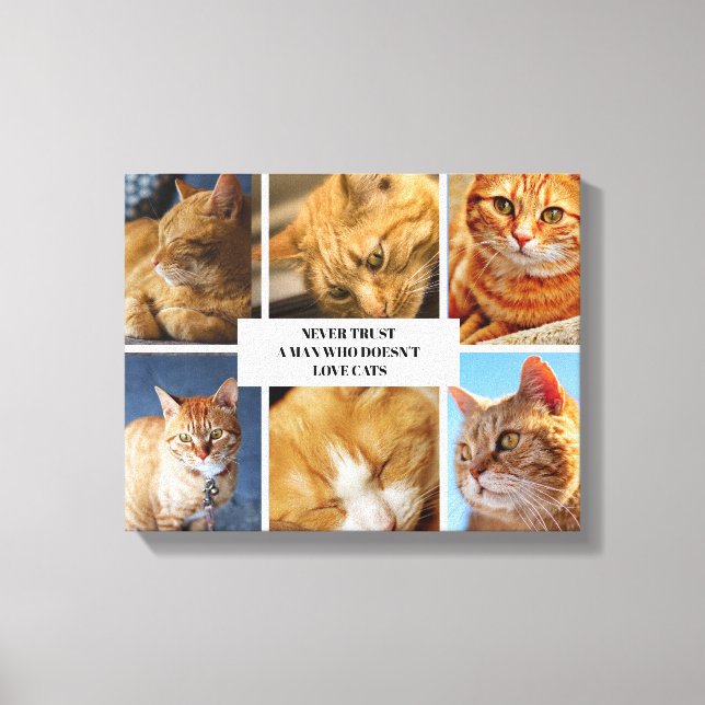 Lienzo Mascota Collage Photo Modern Cat Cote Canvas (Anverso)