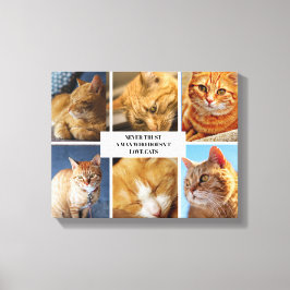 Lienzo Mascota Collage Photo Modern Cat Cote Canvas