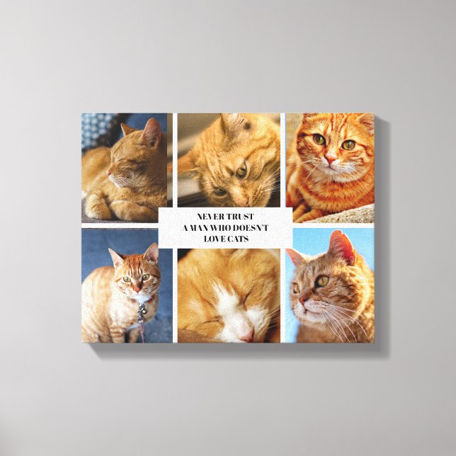 Lienzo Mascota Collage Photo Modern Cat Cote Canvas (Anverso)