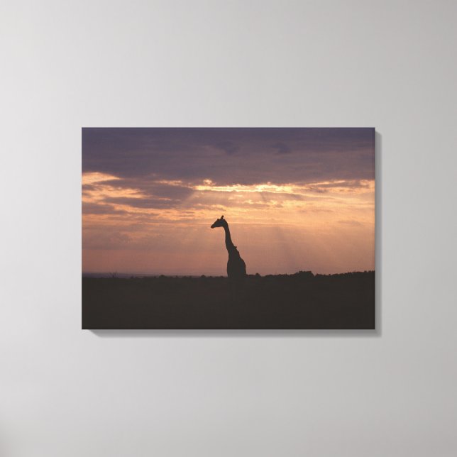 Lienzo Massai Giraffe (Anverso)