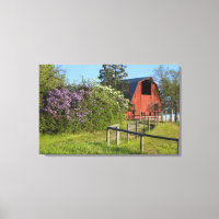 Matorrales de lino en flor y magpies en los árbole