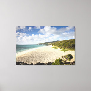 Lienzo Mauricio, Isla Rodrigues, Saint-Francois, St.