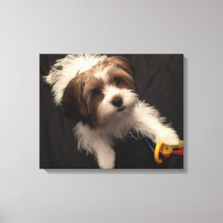 Lienzo Max the Parti Yorkie