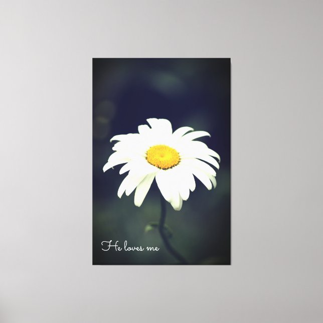 Lienzo Me Ama Daisy Canvas (Anverso)