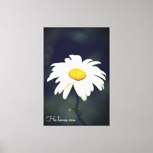 Lienzo Me Ama Daisy Canvas