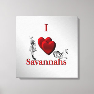 Lienzo Me encanta gato Savannah plateado